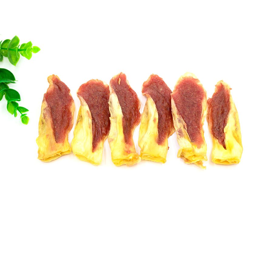 Duck with rabbit ear (SDP094)
